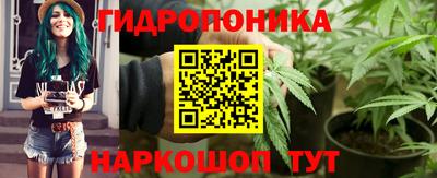 молекула духа Лесосибирск