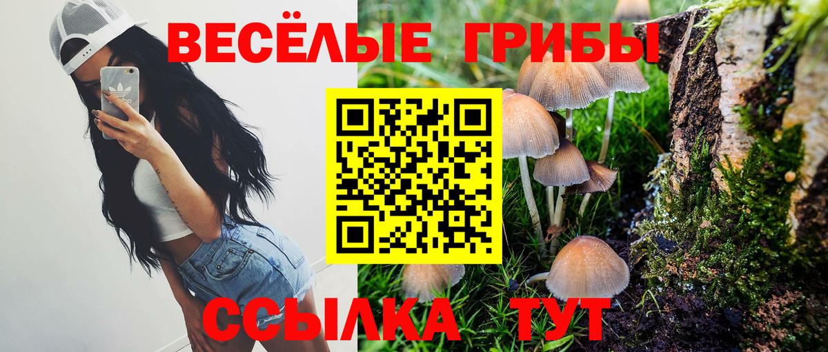 Белгород  Галлюциногенные грибы прущие грибы  Вход с VPN 